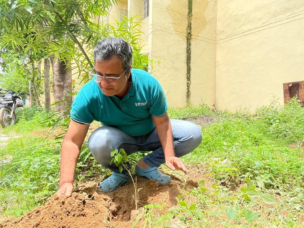 Plantation activity 6